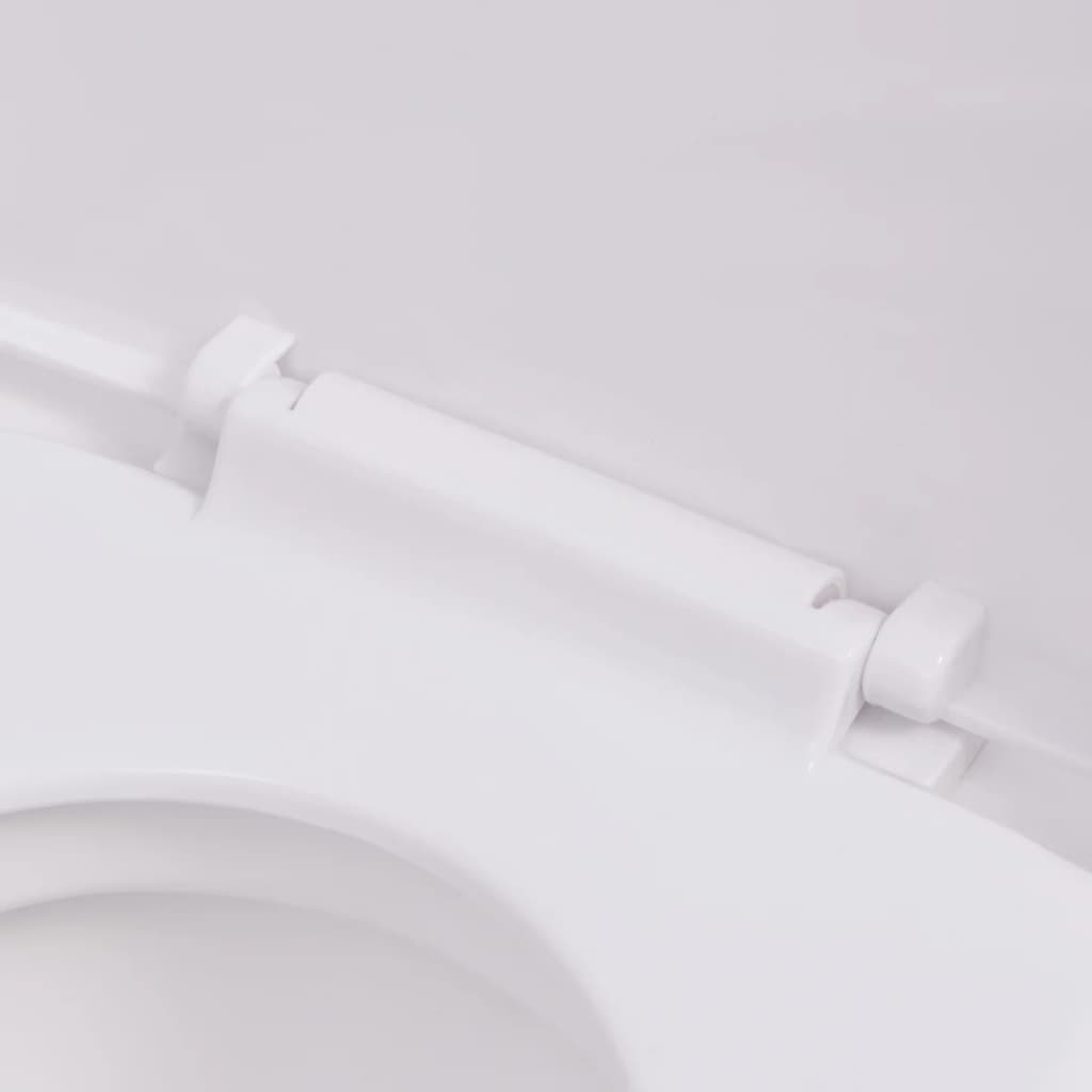 Hangend Toilet Keramiek