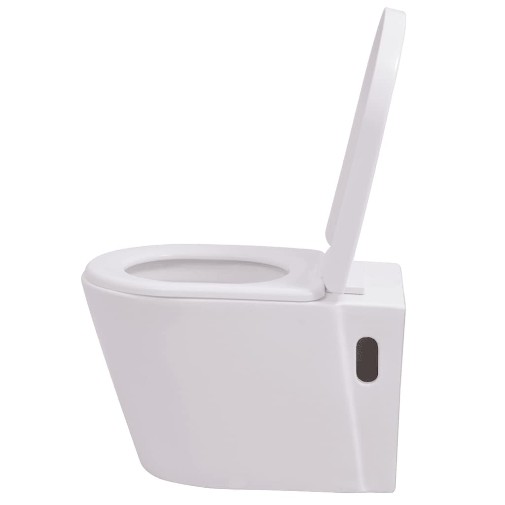 Hangend Toilet Met Verborgen Stortbak Keramiek
