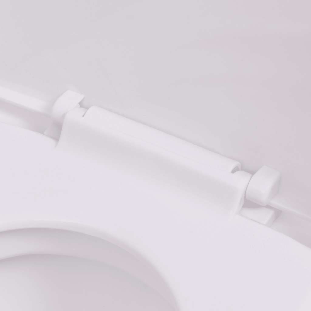 Hangend Toilet Met Verborgen Stortbak Keramiek