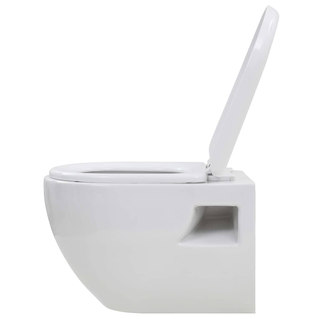 Hangend Toilet Met Verborgen Stortbak Keramiek