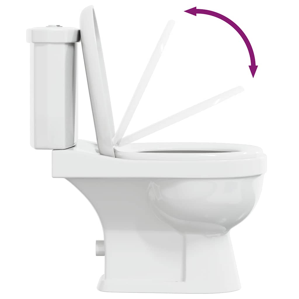 Toilet Met Stortbak