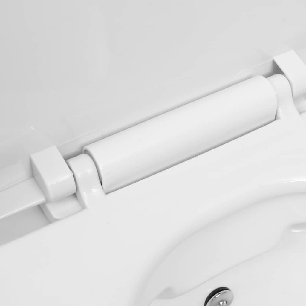 Hangend Toilet Randloos Met Verborgen Stortbak Keramiek